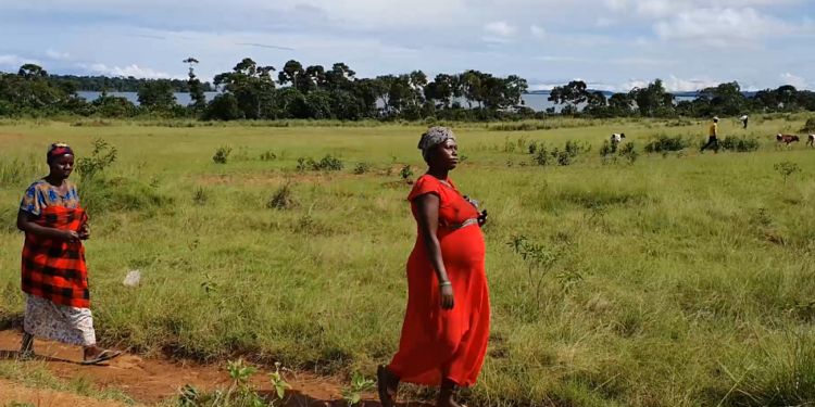 Treated: Uganda’s remote fishing villages lead way in solving healthcare access challenge