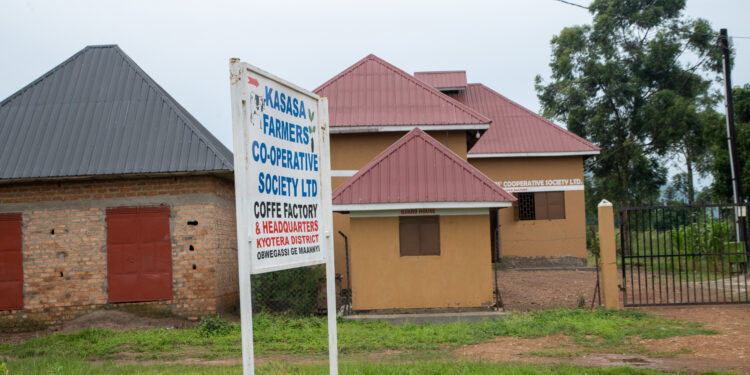 Kasasa: The Community Efforts That Keep Giving