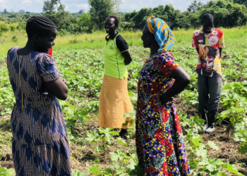 Farmers Use Seed Banking to Fight Food Crisis, Malnutrition