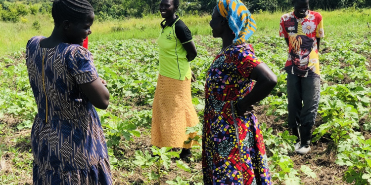 Farmers Use Seed Banking to Fight Food Crisis, Malnutrition