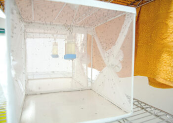 Can Gene-drive Technology Change Uganda’s War On Malaria?