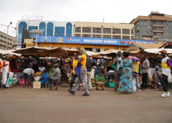 Can Backyard Farming Fix Kampala’s Food Prices?