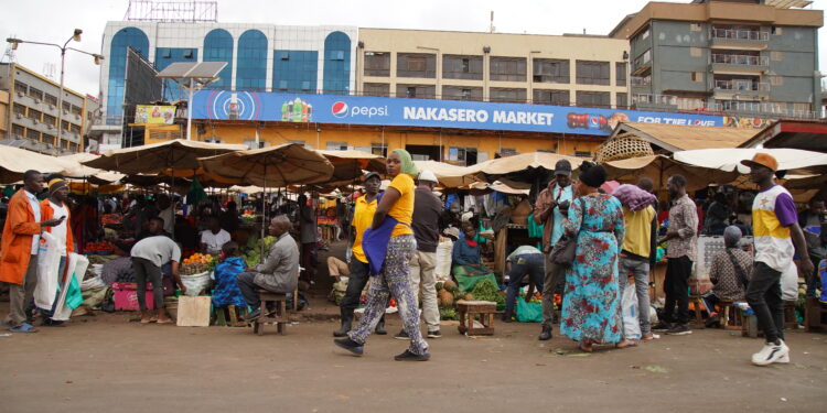 Can Backyard Farming Fix Kampala’s Food Prices?