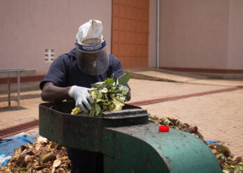 ‘Nuisance’ Organic Waste Offers Farmers Better Fertilizer, And Feed Deal