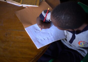 Community School Serves Excellence, Sustainable Learning Models To Children With Disability
