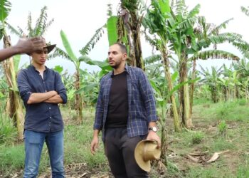 Farming Pharaohs Serve Jobs, Inspires Commercial Farming in Madi Okolo