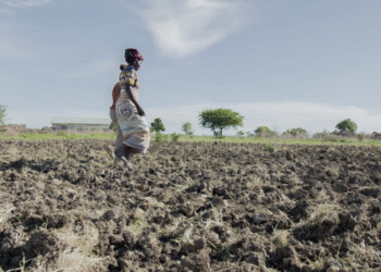 Sowing Despair: How Dry Spells are Sending Mothers Into Depression