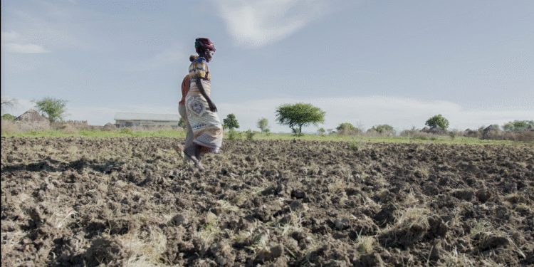 Sowing Despair: How Dry Spells are Sending Mothers Into Depression