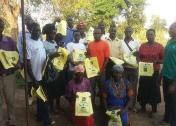 Soil Restoration Improves Crop Production in Northern Uganda